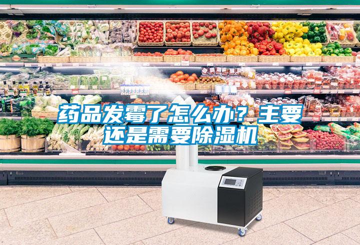 藥品發(fā)霉了怎么辦？主要還是需要除濕機(jī)