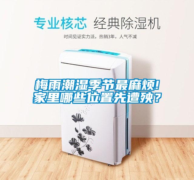 梅雨潮濕季節(jié)最麻煩!家里哪些位置先遭殃？