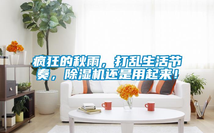 瘋狂的秋雨，打亂生活節(jié)奏，除濕機(jī)還是用起來(lái)！