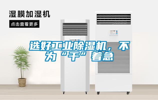 選好工業(yè)除濕機(jī)，不為“干”著急
