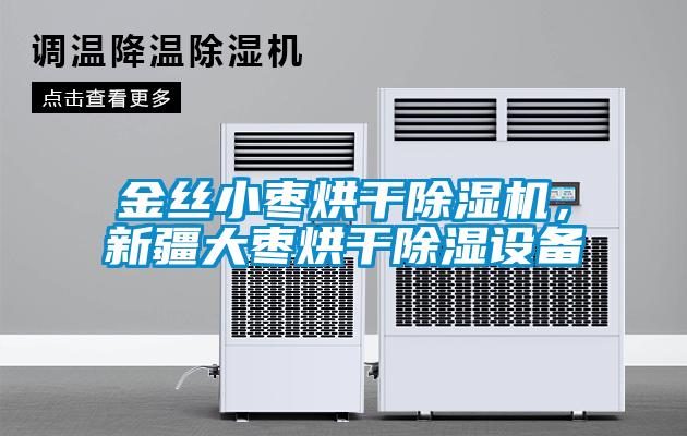 金絲小棗烘干除濕機(jī)，新疆大棗烘干除濕設(shè)備