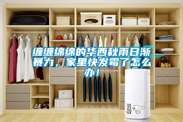纏纏綿綿的華西秋雨日漸暴力，家里快發(fā)霉了怎么辦！