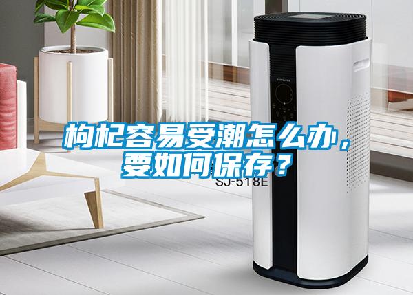 枸杞容易受潮怎么辦，要如何保存？