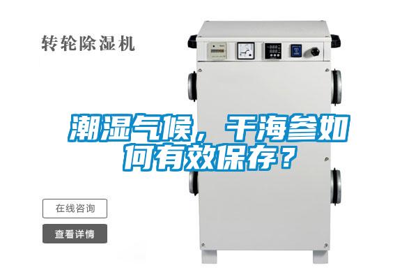 潮濕氣候，干海參如何有效保存？