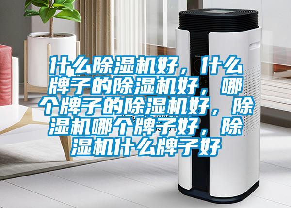 什么除濕機(jī)好，什么牌子的除濕機(jī)好，哪個(gè)牌子的除濕機(jī)好，除濕機(jī)哪個(gè)牌子好，除濕機(jī)什么牌子好