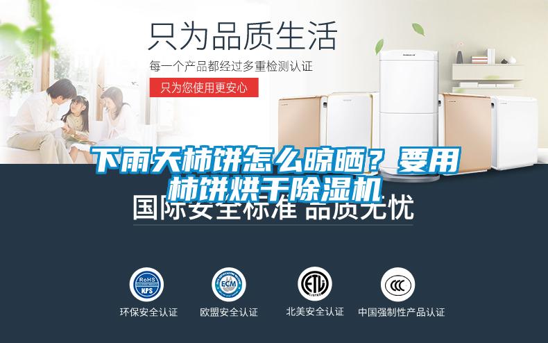 下雨天柿餅怎么晾曬？要用柿餅烘干除濕機(jī)
