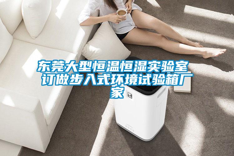 東莞大型恒溫恒濕實(shí)驗室 訂做步入式環(huán)境試驗箱廠家