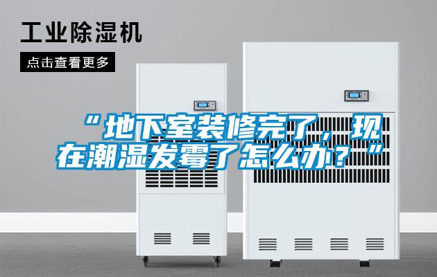 “地下室裝修完了，現(xiàn)在潮濕發(fā)霉了怎么辦？”