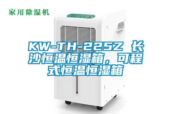 KW-TH-225Z 長沙恒溫恒濕箱，可程式恒溫恒濕箱