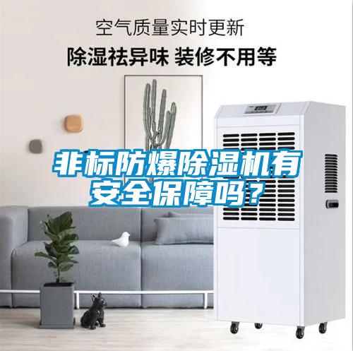 非標防爆除濕機有安全保障嗎？