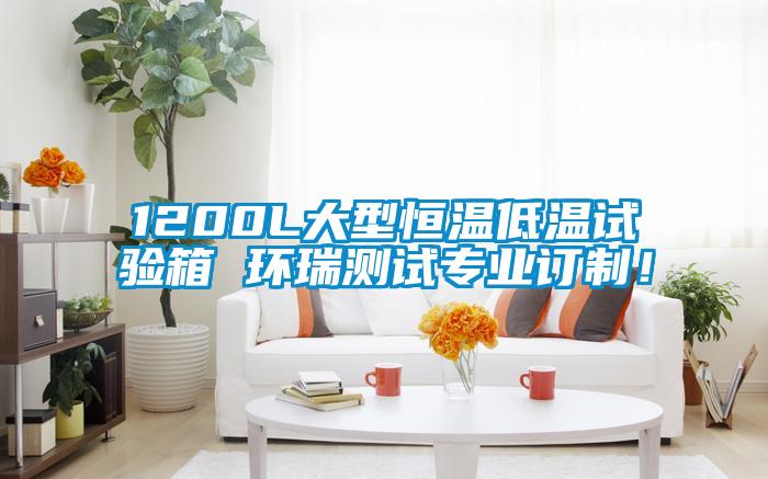 1200L大型恒溫低溫試驗(yàn)箱 環(huán)瑞測(cè)試專業(yè)訂制！