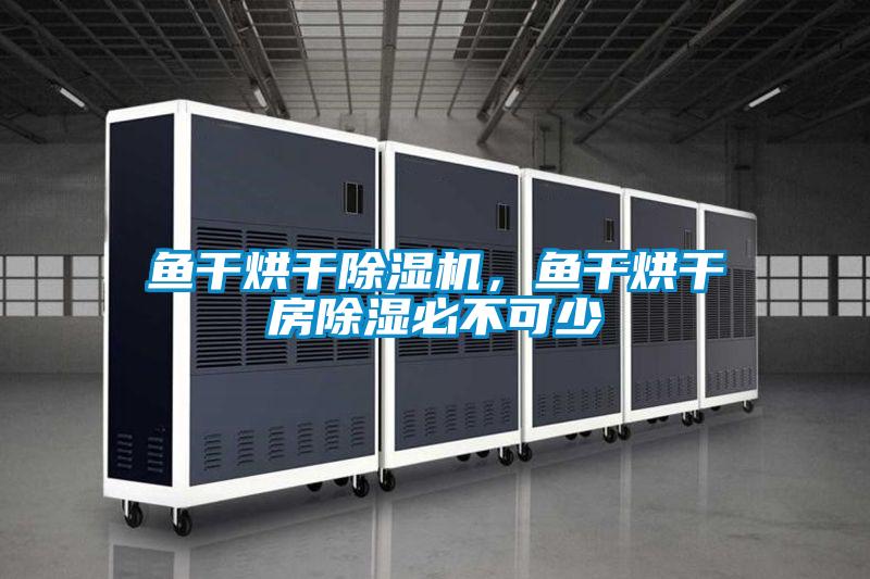 魚干烘干除濕機(jī)，魚干烘干房除濕必不可少