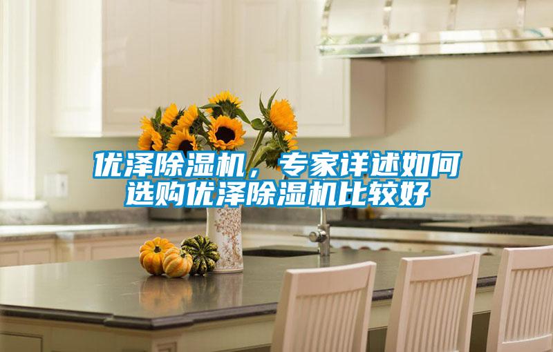 優(yōu)澤除濕機(jī)，專家詳述如何選購優(yōu)澤除濕機(jī)比較好