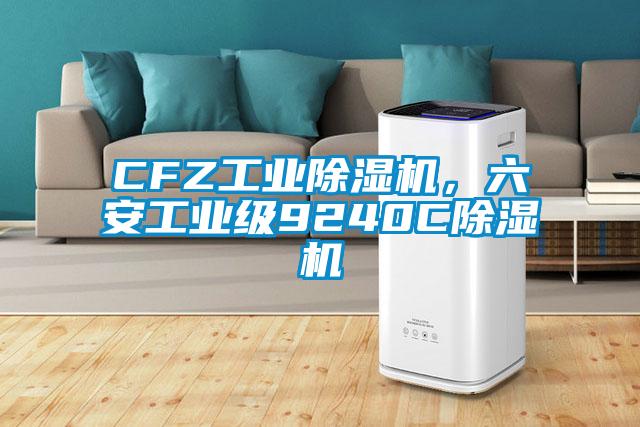 CFZ工業(yè)除濕機(jī)，六安工業(yè)級9240C除濕機(jī)