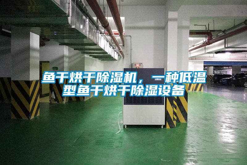 魚干烘干除濕機，一種低溫型魚干烘干除濕設(shè)備
