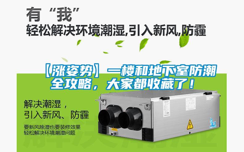 【漲姿勢】一樓和地下室防潮全攻略，大家都收藏了！
