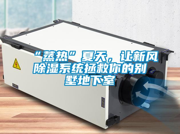 “蒸熱”夏天，讓新風除濕系統(tǒng)拯救你的別墅地下室