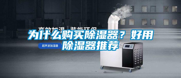 為什么購買除濕器？好用除濕器推薦