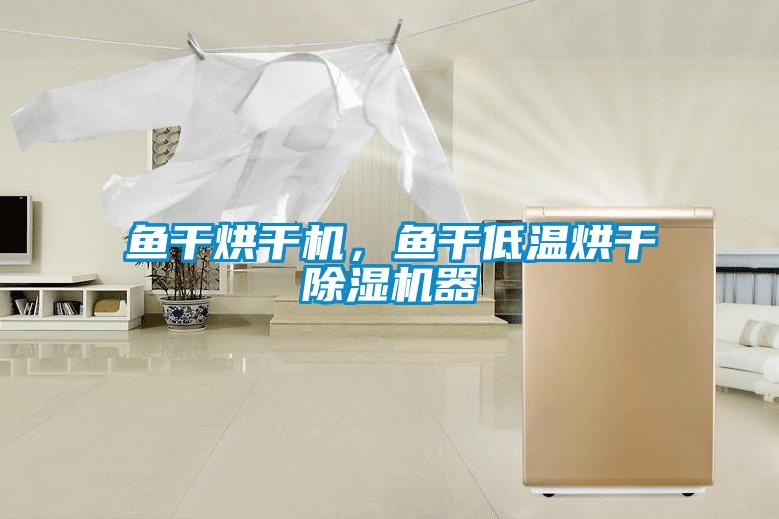 魚干烘干機(jī)，魚干低溫烘干除濕機(jī)器