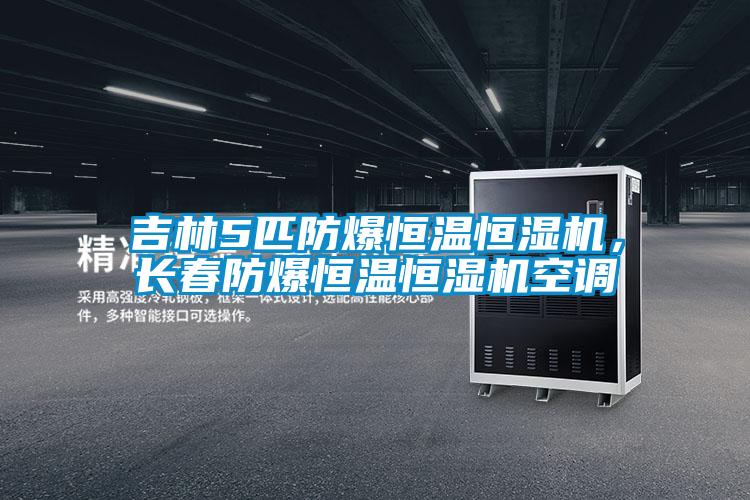 吉林5匹防爆恒溫恒濕機，長春防爆恒溫恒濕機空調(diào)