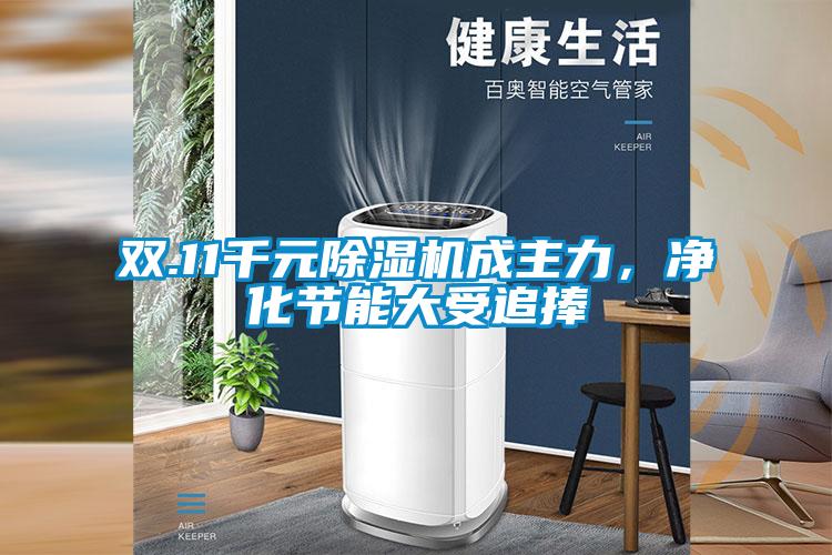雙.11千元除濕機成主力，凈化節(jié)能大受追捧