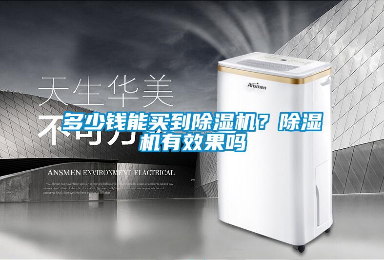 多少錢能買到除濕機(jī)？除濕機(jī)有效果嗎
