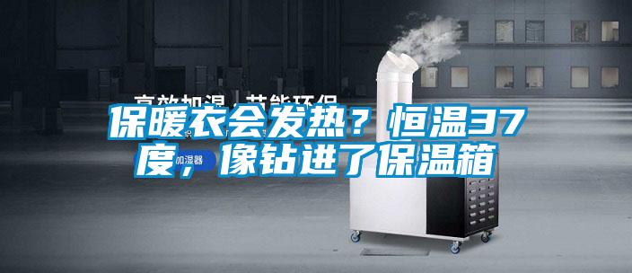 保暖衣會發(fā)熱？恒溫37度，像鉆進(jìn)了保溫箱
