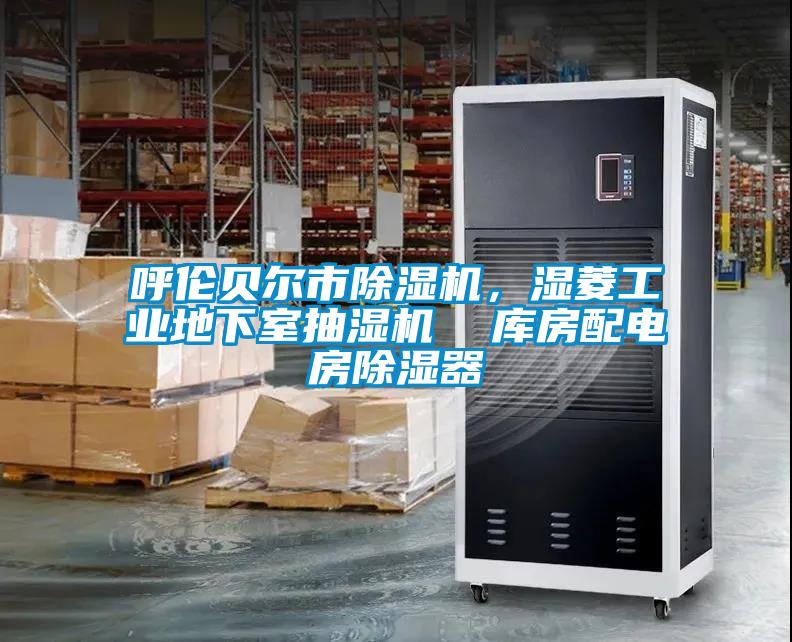 呼倫貝爾市除濕機，濕菱工業(yè)地下室抽濕機  庫房配電房除濕器