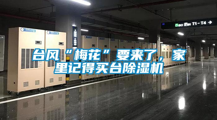 臺風“梅花”要來了，家里記得買臺除濕機