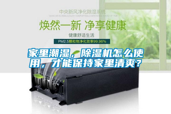 家里潮濕，除濕機(jī)怎么使用，才能保持家里清爽？