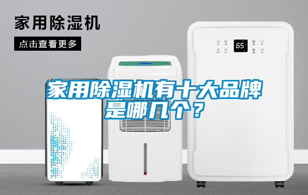 家用除濕機(jī)有十大品牌是哪幾個(gè)？