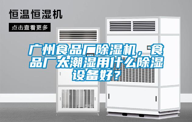 廣州食品廠除濕機(jī)，食品廠太潮濕用什么除濕設(shè)備好？