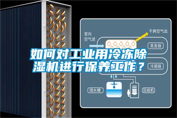 如何對(duì)工業(yè)用冷凍除濕機(jī)進(jìn)行保養(yǎng)工作？