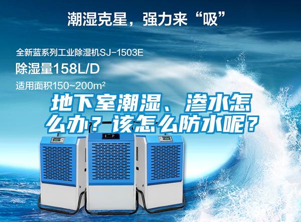 地下室潮濕、滲水怎么辦？該怎么防水呢？
