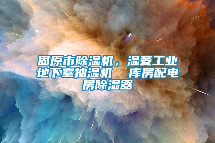 固原市除濕機，濕菱工業(yè)地下室抽濕機  庫房配電房除濕器