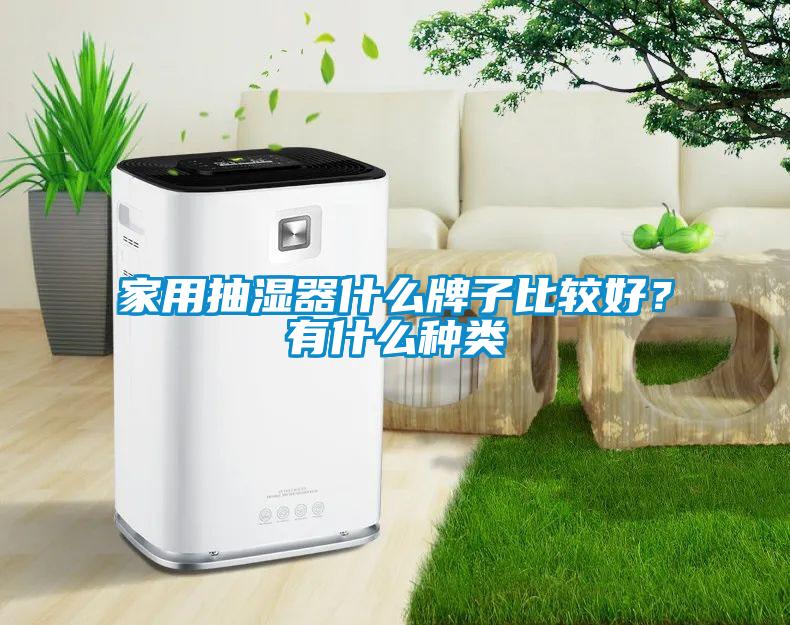 家用抽濕器什么牌子比較好？有什么種類(lèi)