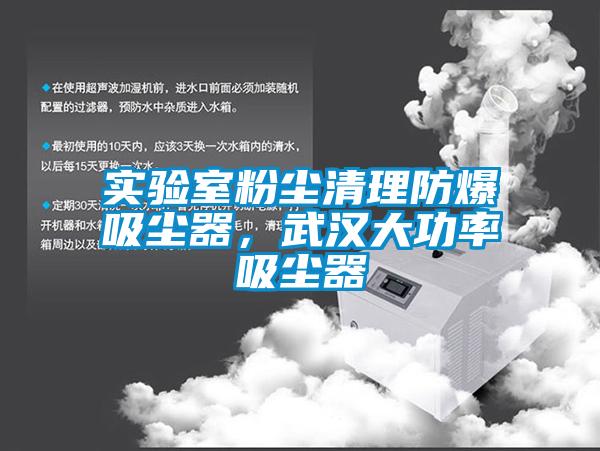 實(shí)驗(yàn)室粉塵清理防爆吸塵器，武漢大功率吸塵器