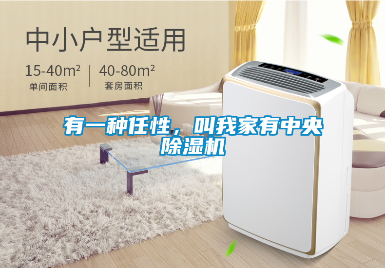 有一種任性，叫我家有中央除濕機(jī)