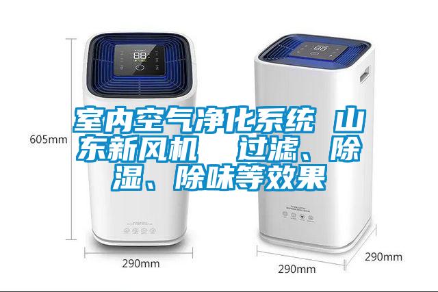 室內(nèi)空氣凈化系統(tǒng) 山東新風(fēng)機(jī)  過(guò)濾、除濕、除味等效果
