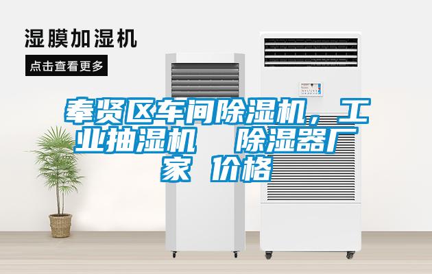 奉賢區(qū)車間除濕機(jī)，工業(yè)抽濕機(jī)  除濕器廠家 價(jià)格