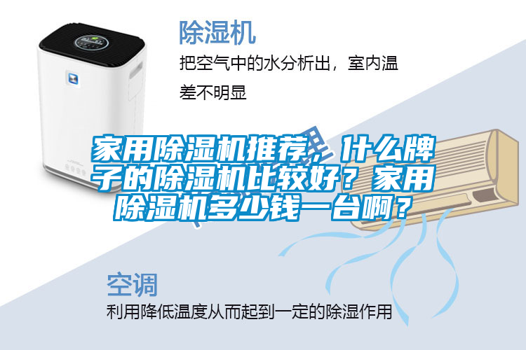 家用除濕機(jī)推薦，什么牌子的除濕機(jī)比較好？家用除濕機(jī)多少錢一臺啊？