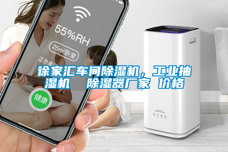 徐家匯車間除濕機，工業(yè)抽濕機  除濕器廠家 價格