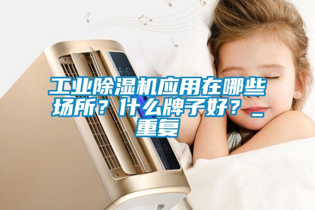 工業(yè)除濕機(jī)應(yīng)用在哪些場所？什么牌子好？_重復(fù)