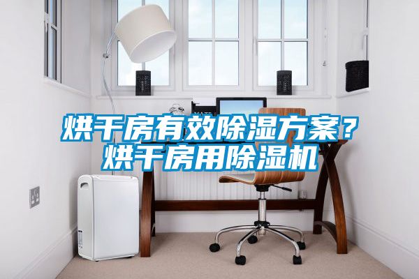 烘干房有效除濕方案？烘干房用除濕機