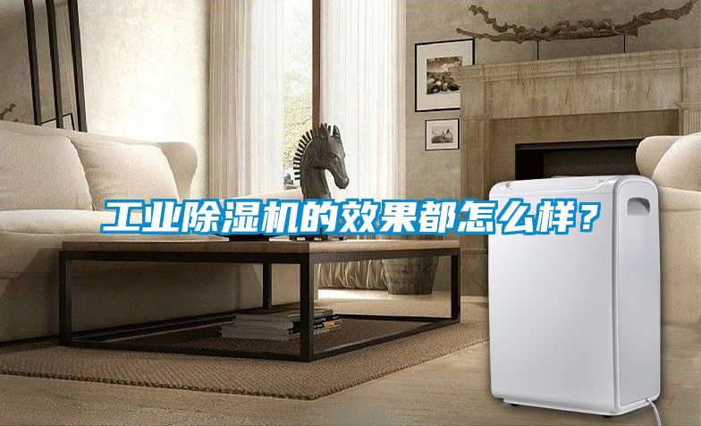工業(yè)除濕機(jī)的效果都怎么樣？