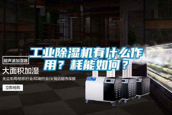 工業(yè)除濕機(jī)有什么作用？耗能如何？