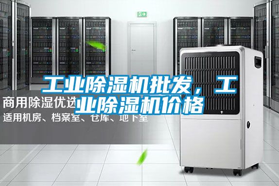 工業(yè)除濕機(jī)批發(fā)，工業(yè)除濕機(jī)價(jià)格