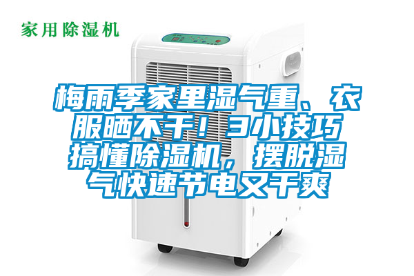梅雨季家里濕氣重、衣服曬不干！3小技巧搞懂除濕機，擺脫濕氣快速節(jié)電又干爽