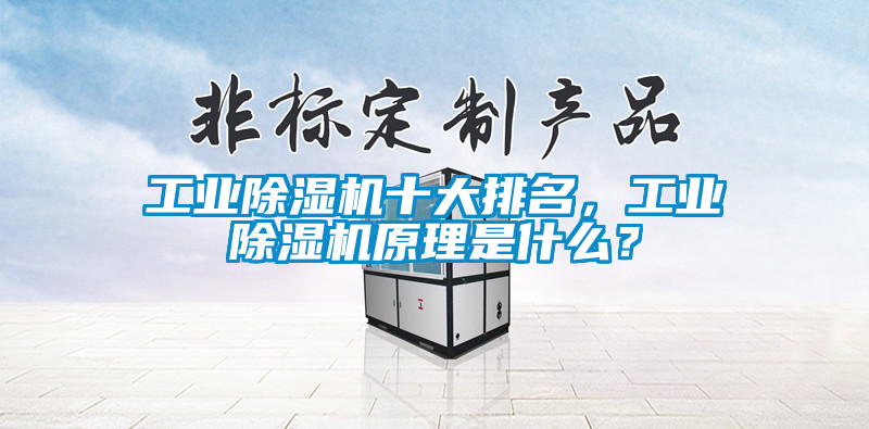工業(yè)除濕機(jī)十大排名，工業(yè)除濕機(jī)原理是什么？