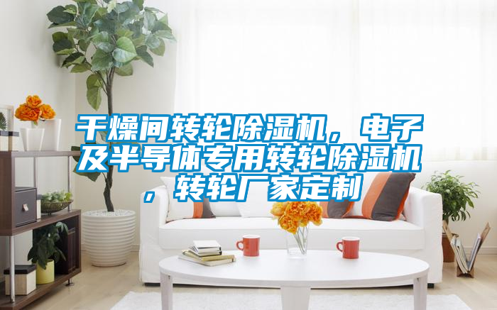 干燥間轉(zhuǎn)輪除濕機(jī)，電子及半導(dǎo)體專用轉(zhuǎn)輪除濕機(jī)，轉(zhuǎn)輪廠家定制